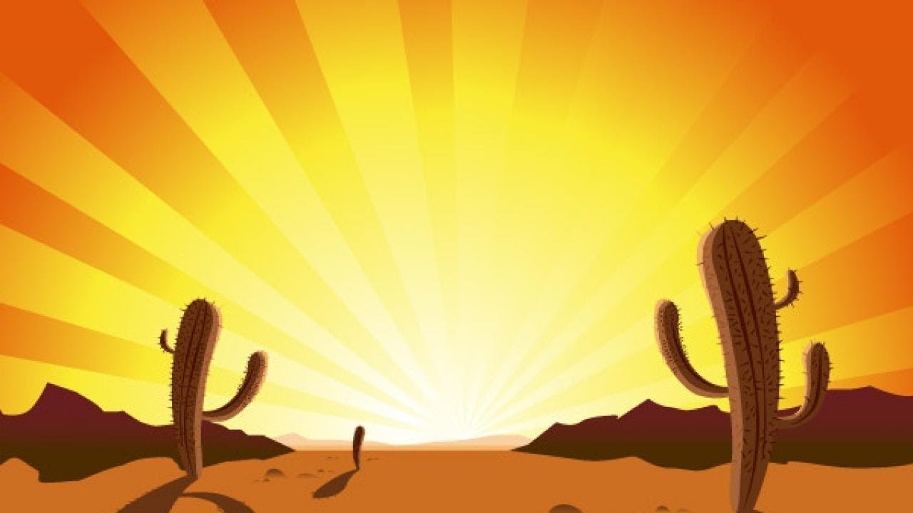Кактус в пустыне на оранжевом фоне