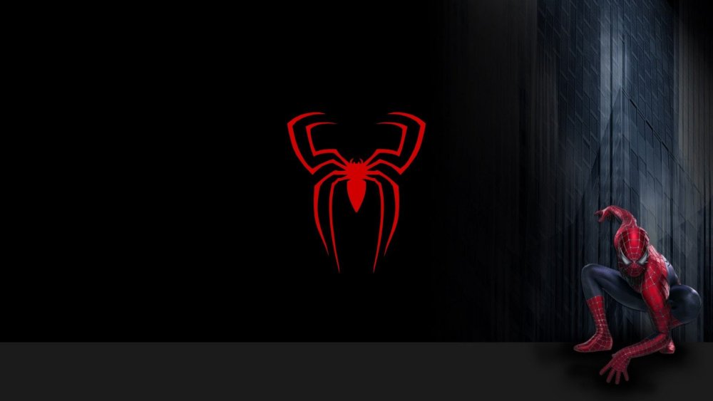 Паук на черном фоне