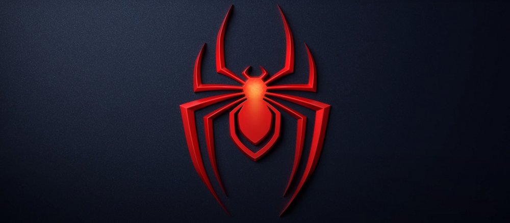 Паук на черном фоне