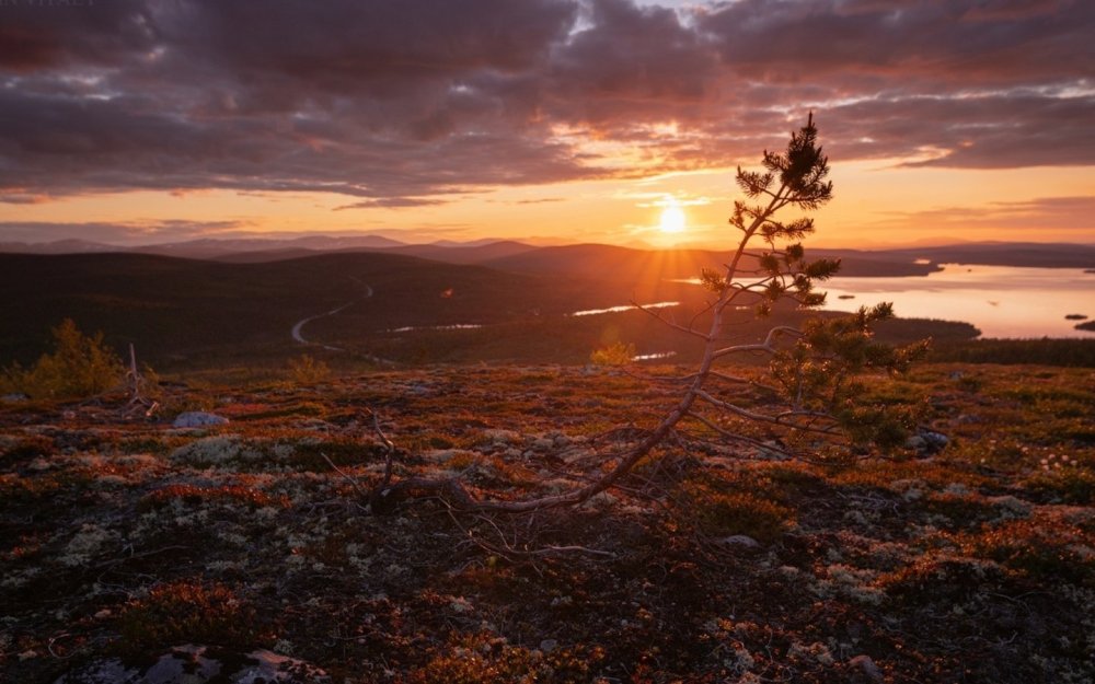 Заполярье Кольский полуостров
