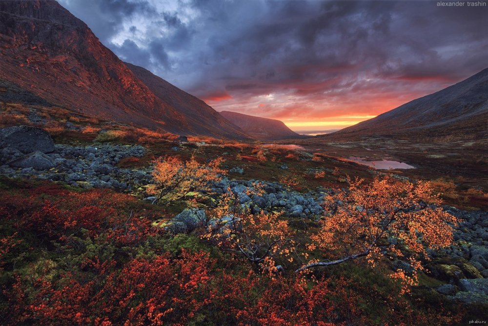 Кольский полуостров Хибины тундры