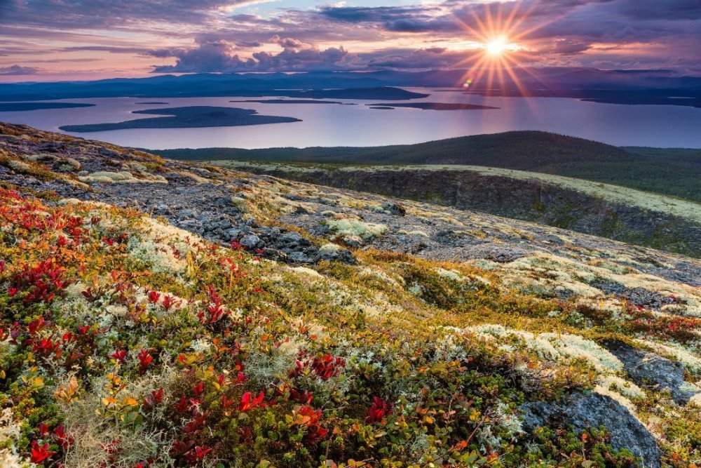 Тундра Кольского полуострова