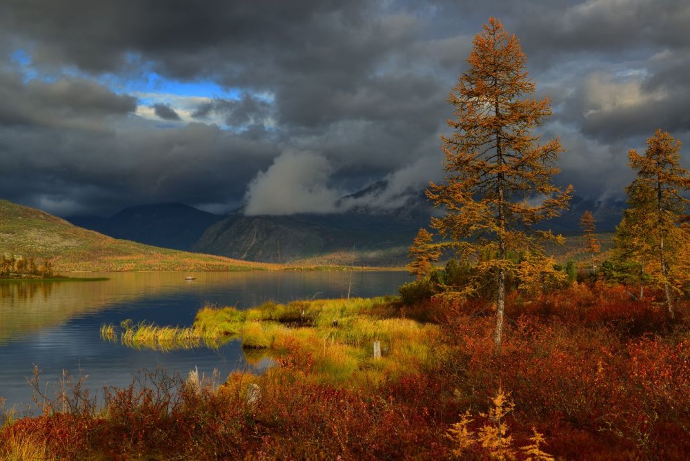 Тундра Магаданской области