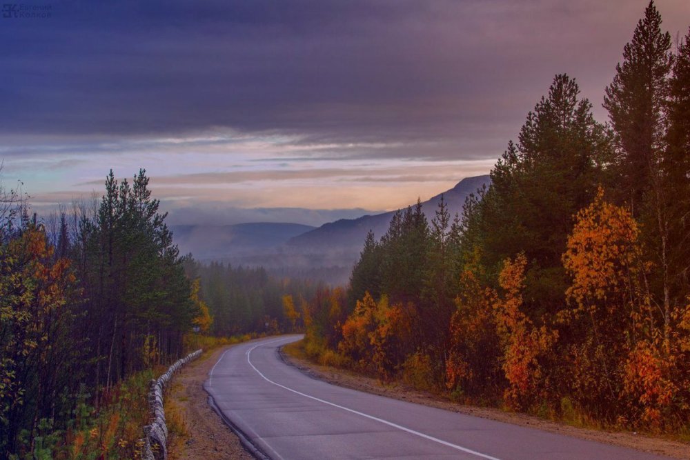 Алакуртти природа