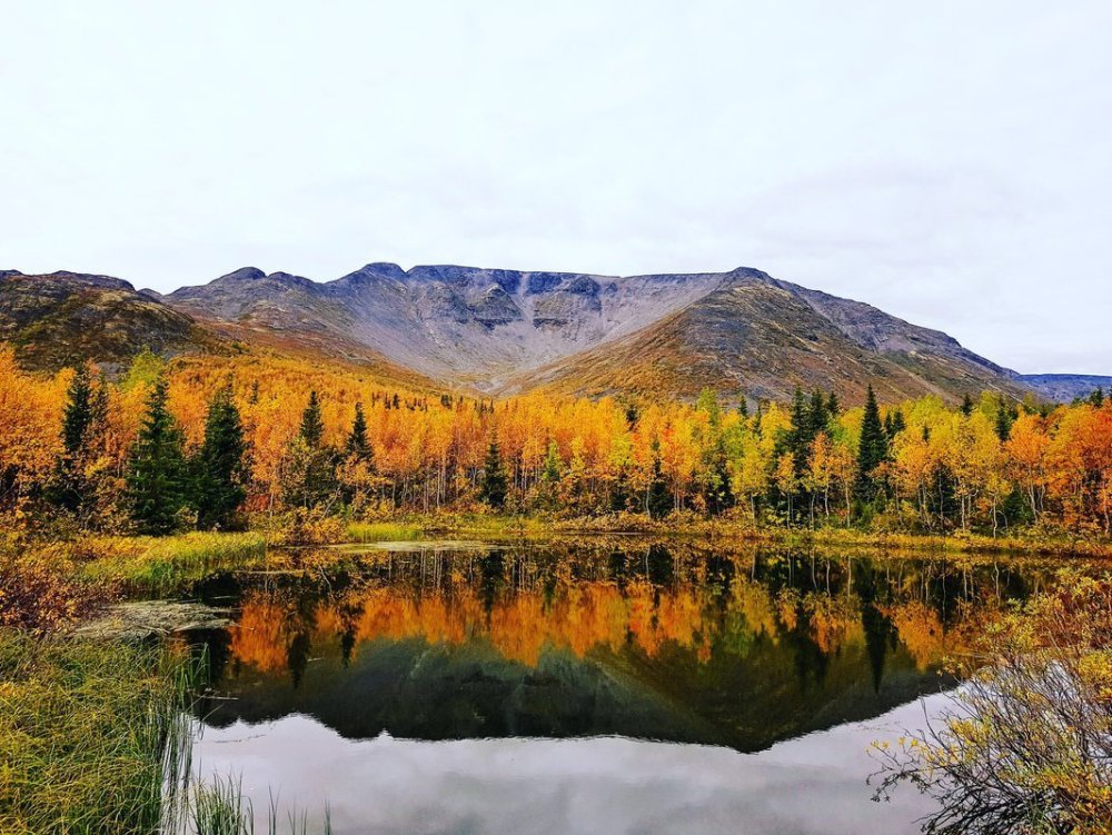 Кольский полуостров Хибины осень