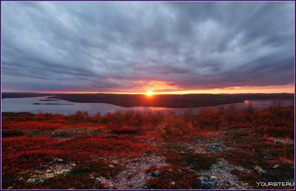 Воркута тундра