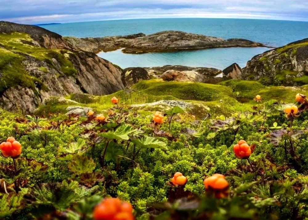 Мурманск природа Кольский полуостров