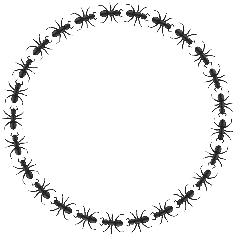 Орнамент по кругу