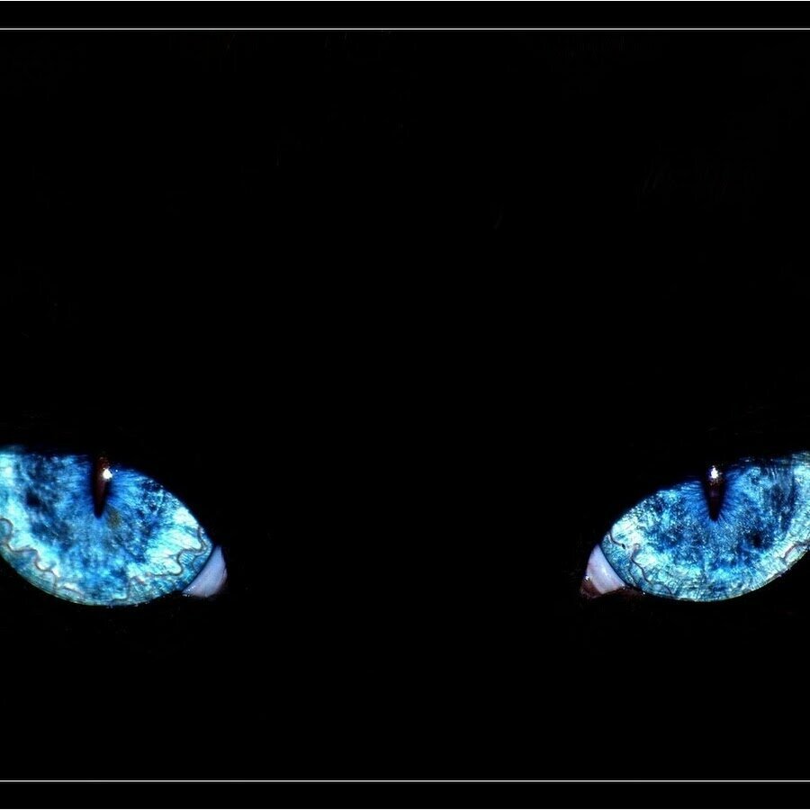 Голубые глаза в темноте