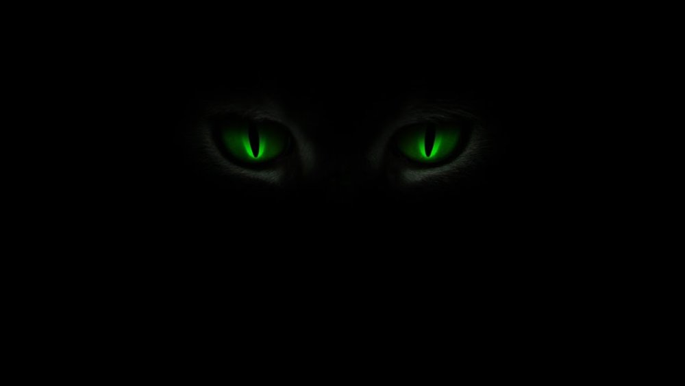 Зеленые глаза в темноте