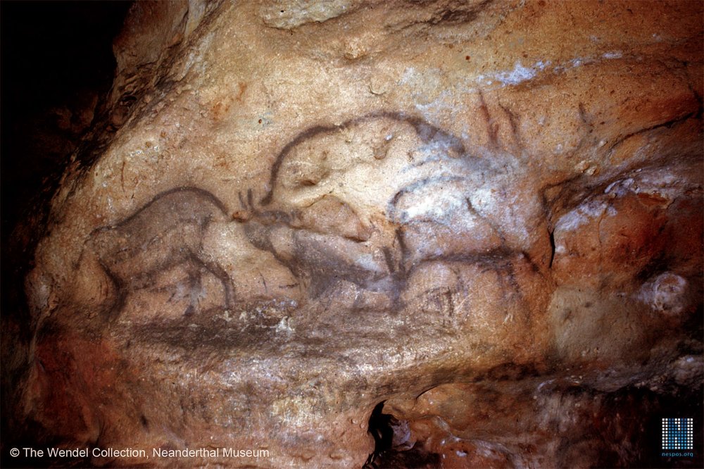 Пещера фон де Гом