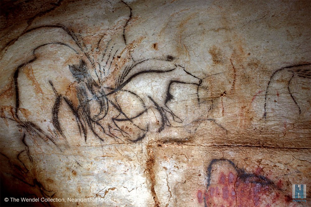 Наскальная живопись пещера Руффиньяк