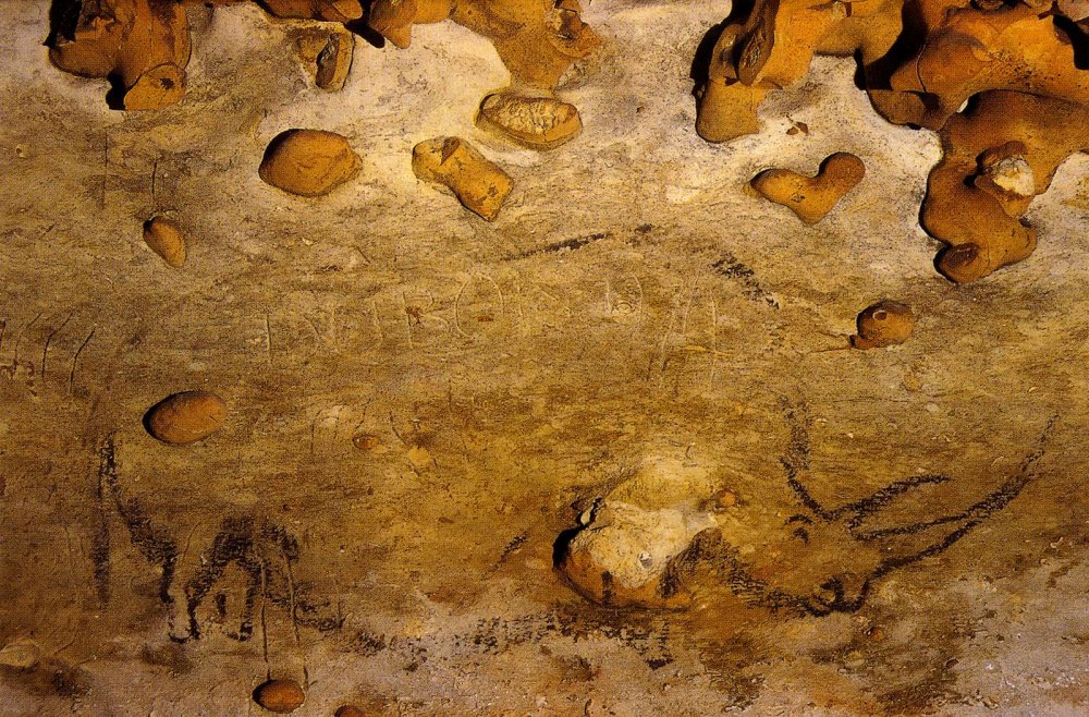 Наскальная живопись пещера Руффиньяк