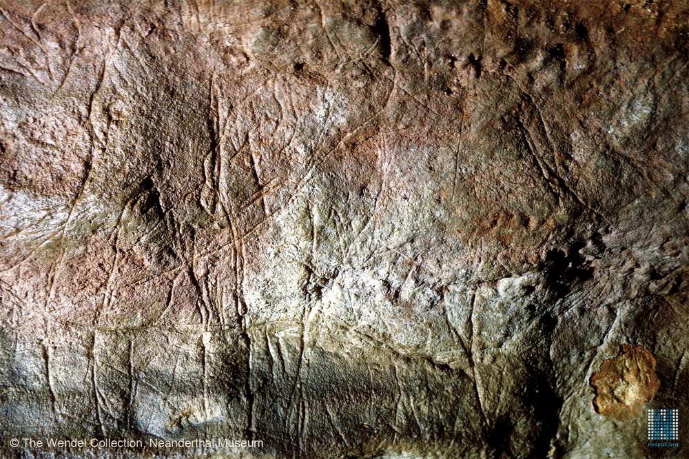 ЗУБР пещера Альтамира