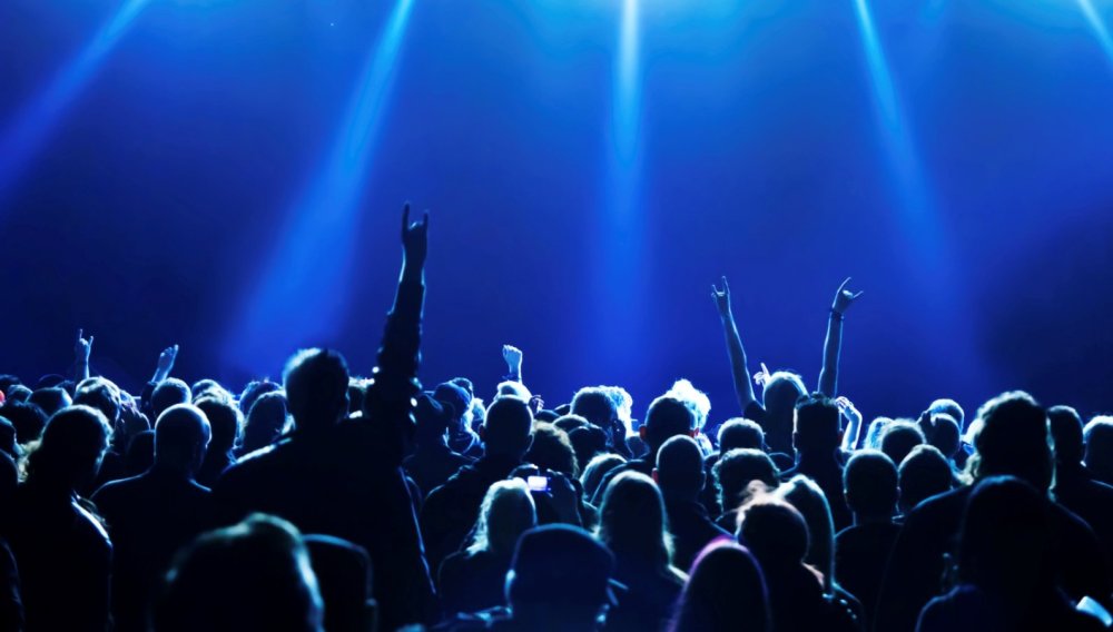 Публика на концерте