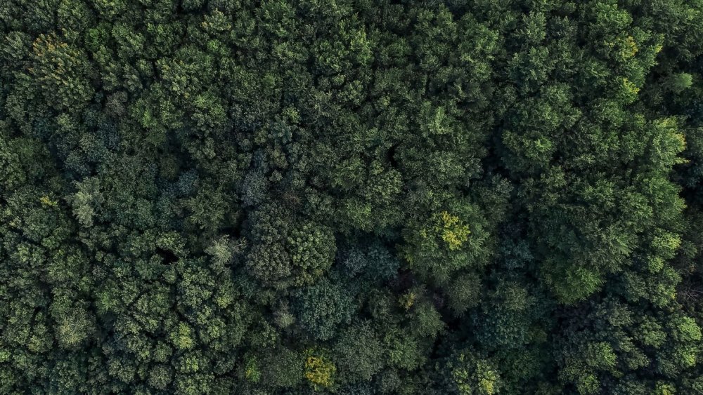 Пиксельная доска