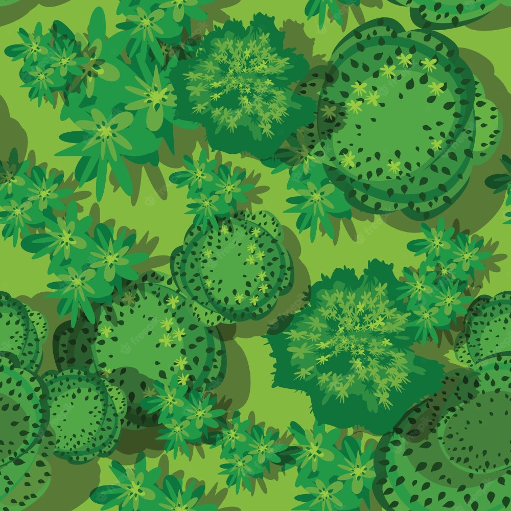 Трава вид сверху