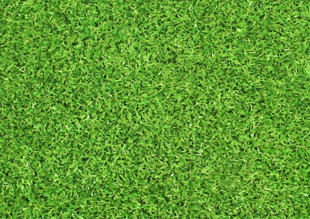 Темно зеленый газон