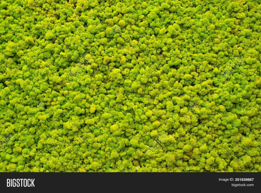 Пиксельная трава вид сверху