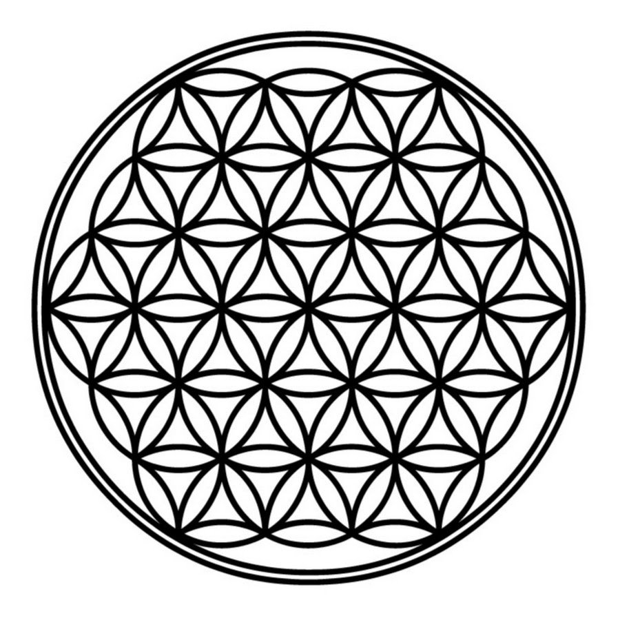 Vesica Piscis цветок жизни