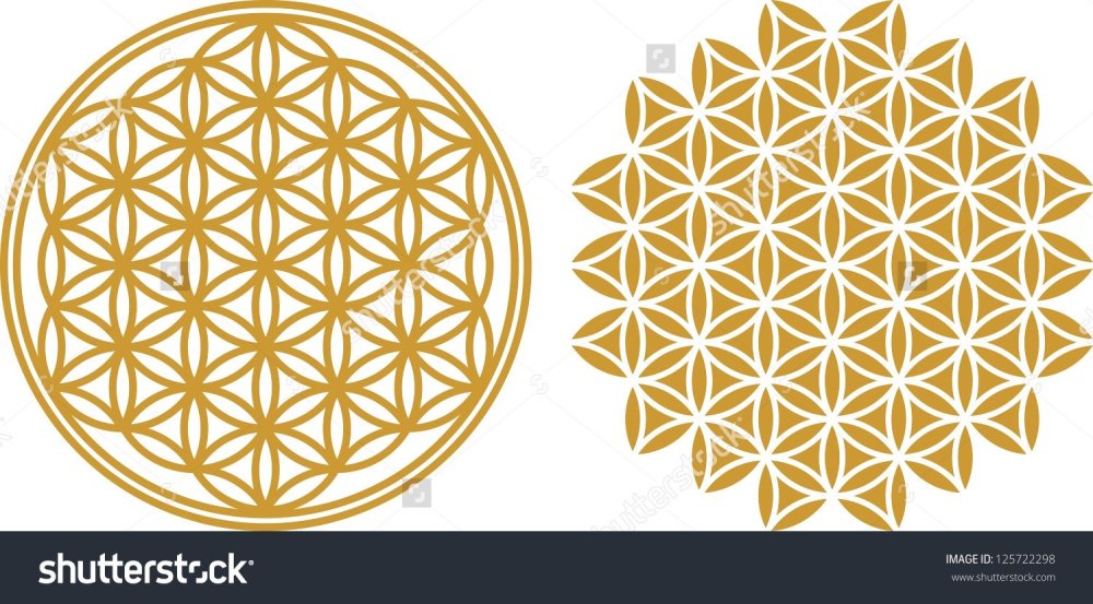 Цветок жизни золотой на белом