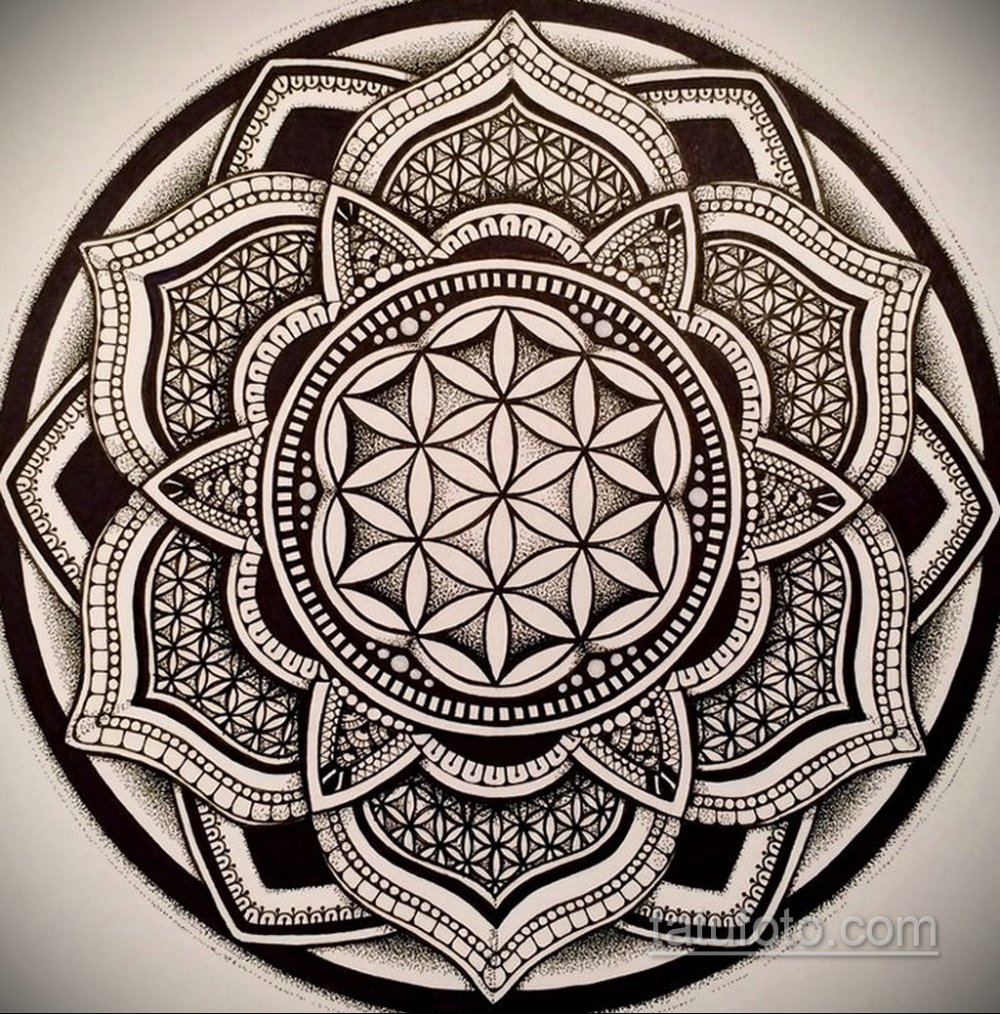 Цветок жизни Сакральная геометрия вектор