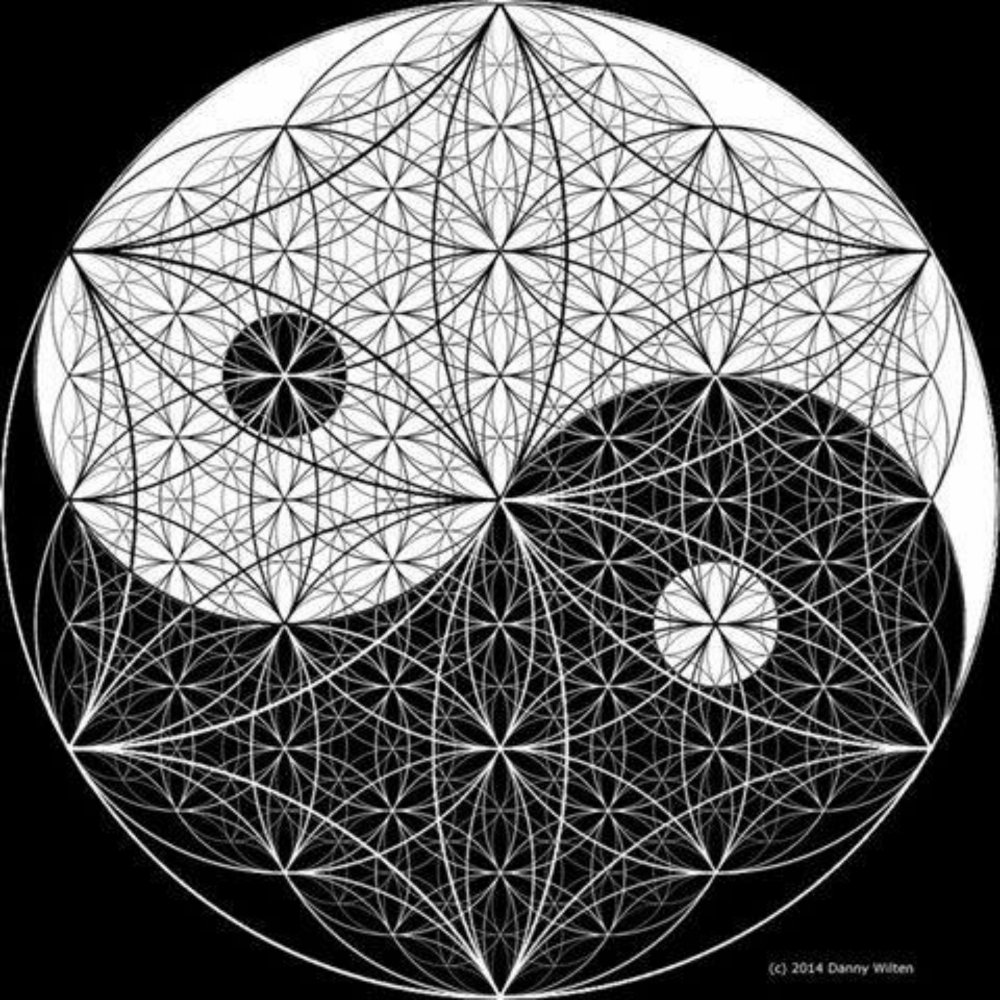 Флауэр Пауэр хиппи