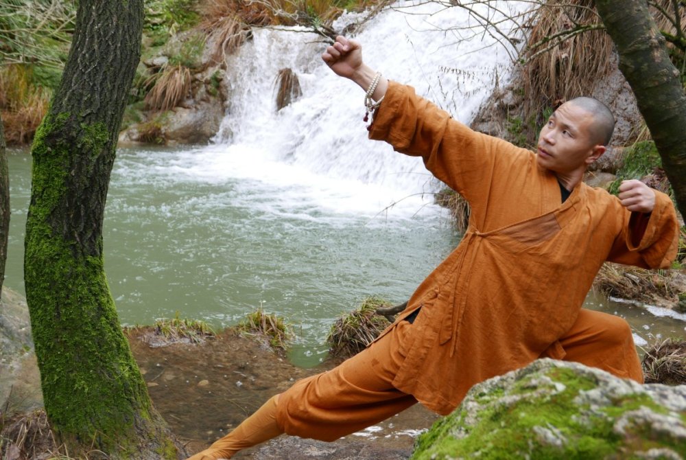 Монаха Шаолиня Шифу Ян лей