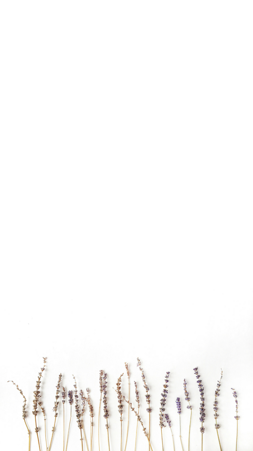 Атлантический океан в Мальдивах что