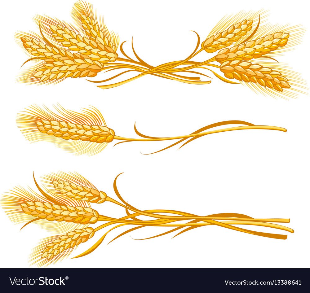 Орнамент пшеница