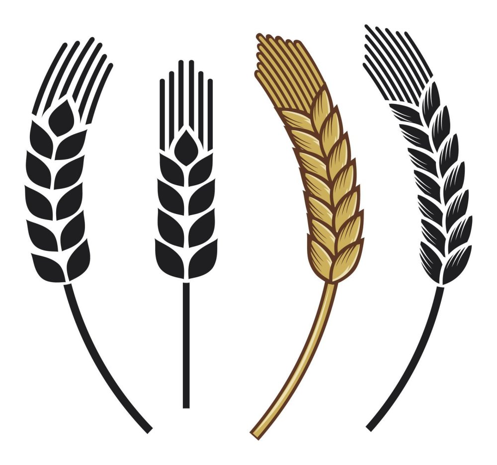 Стилизованные колоски