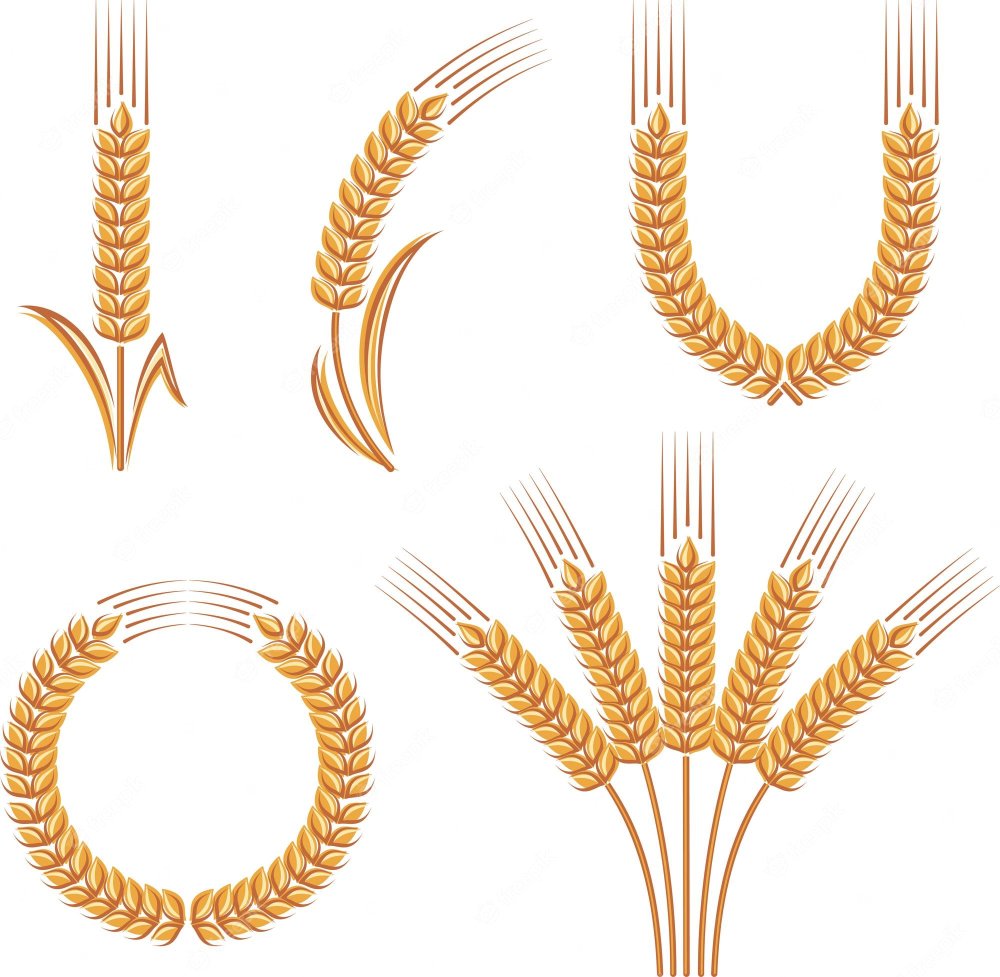 Колосья в круге