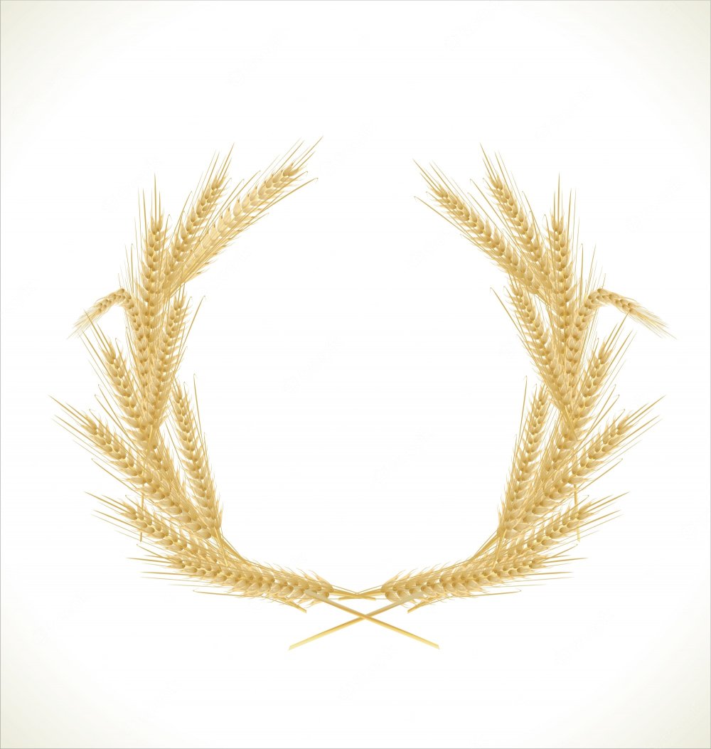 Колосья пшеницы по кругу