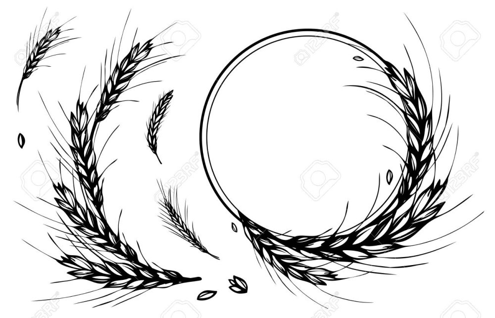 Венок из колосьев пшеницы вектор