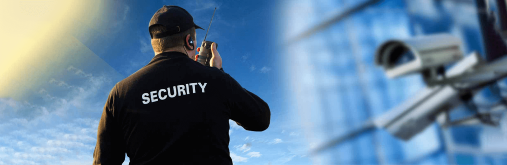 Пультовая охрана ГБР Чоп "Аллигатор"