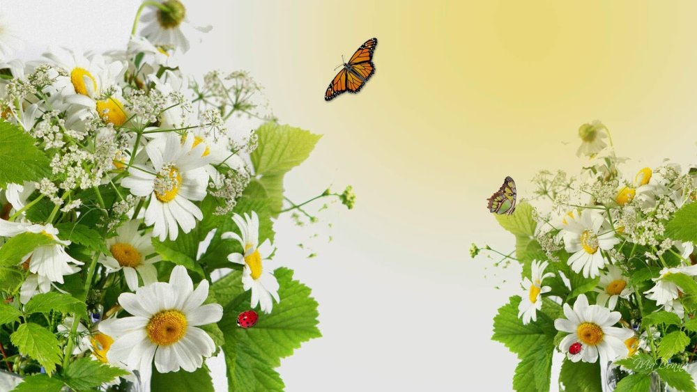 Летний пейзаж