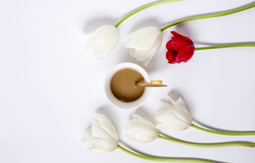 Белые тюльпаны и кофе