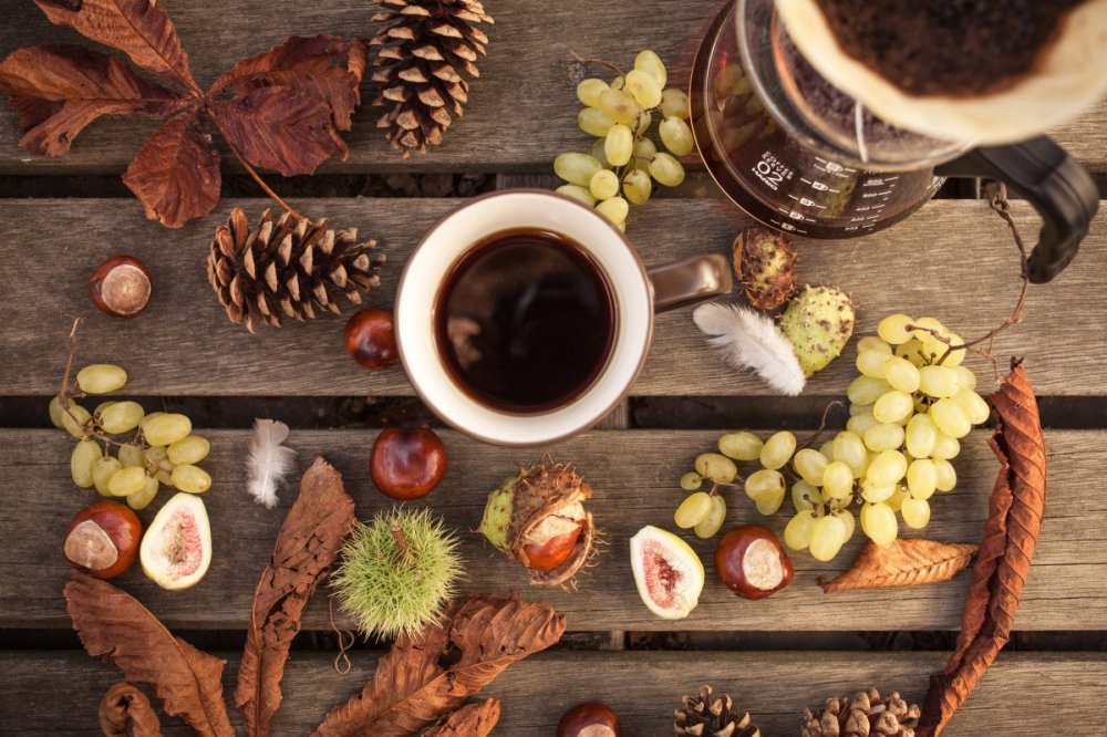 Текстура печенья