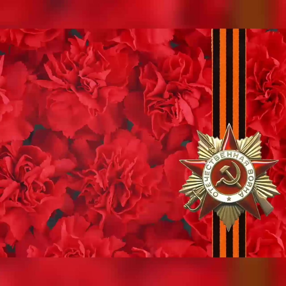 Гвоздики с георгиевской лентой