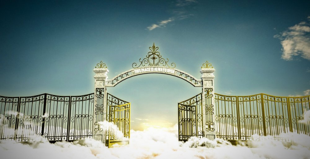 Красивые открытые ворота