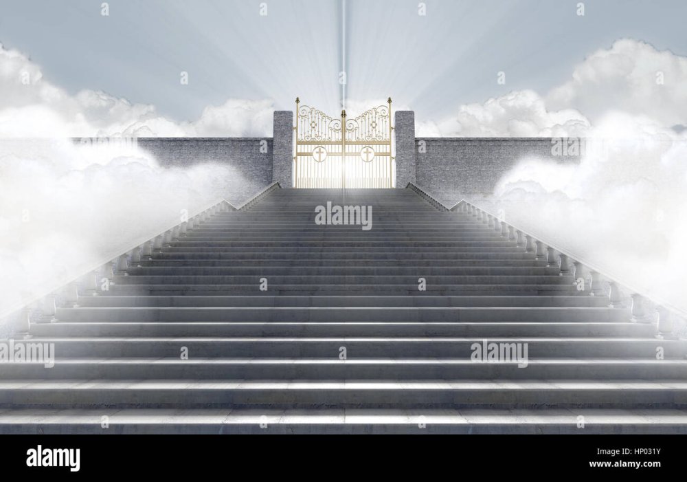 Открытые ворота