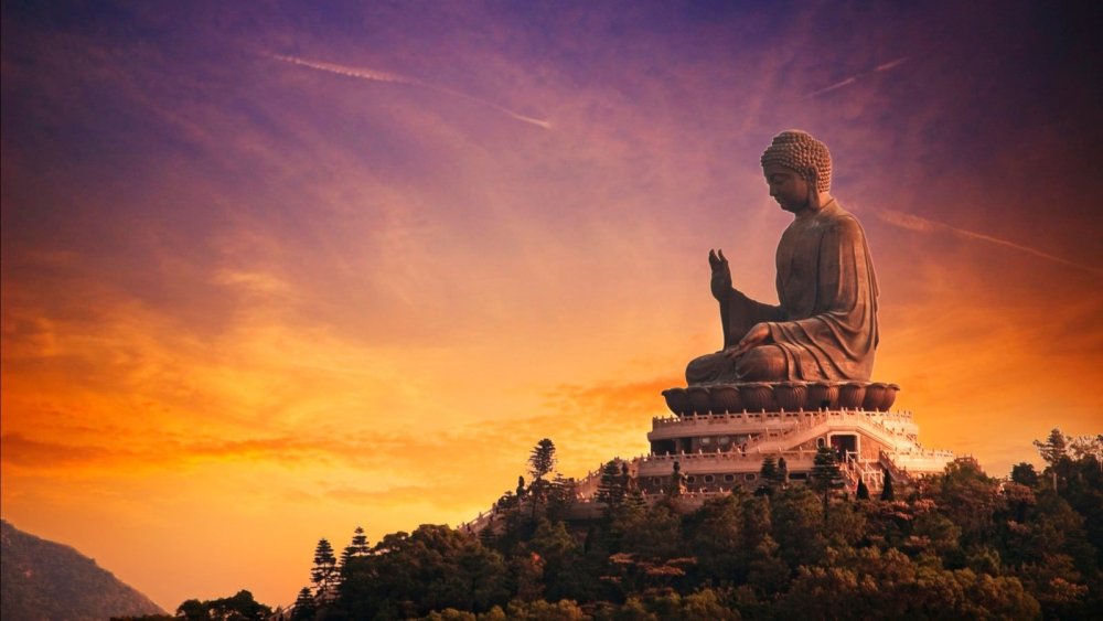 Буддизм природа