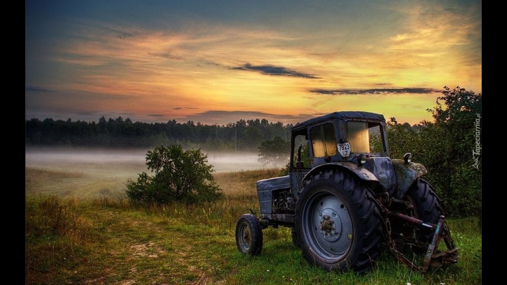 МТЗ 52 В поле