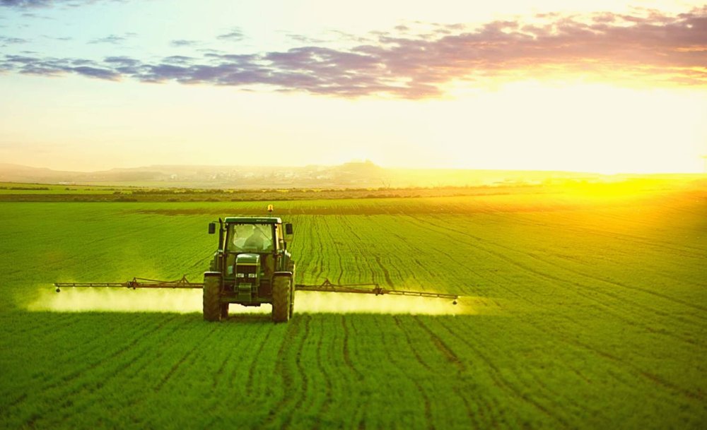 Поле сельское хозяйство