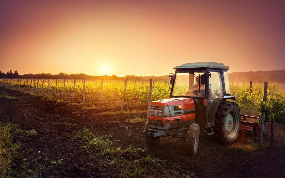 Поле с трактором на заднем плане
