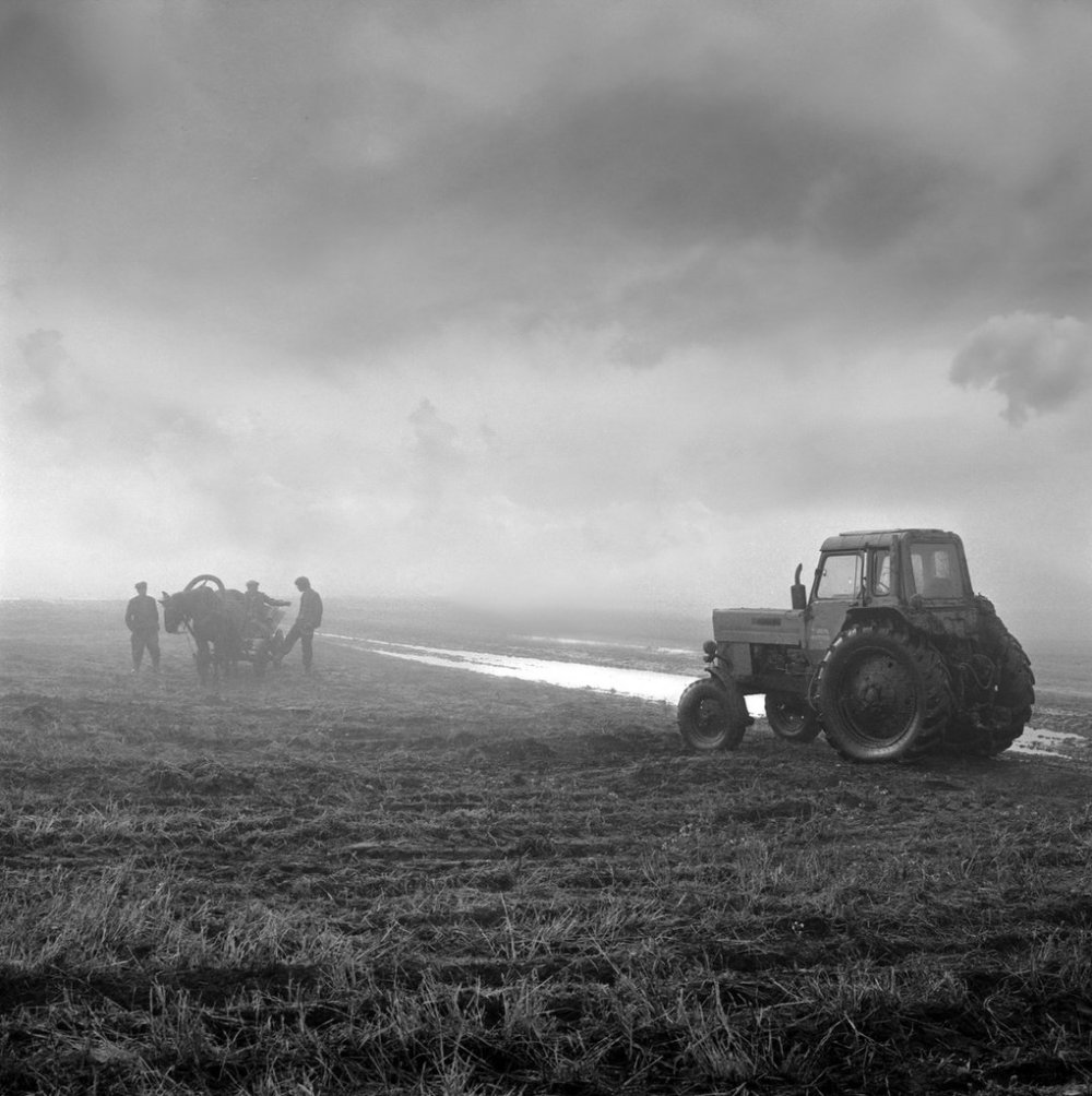 Трактор в поле