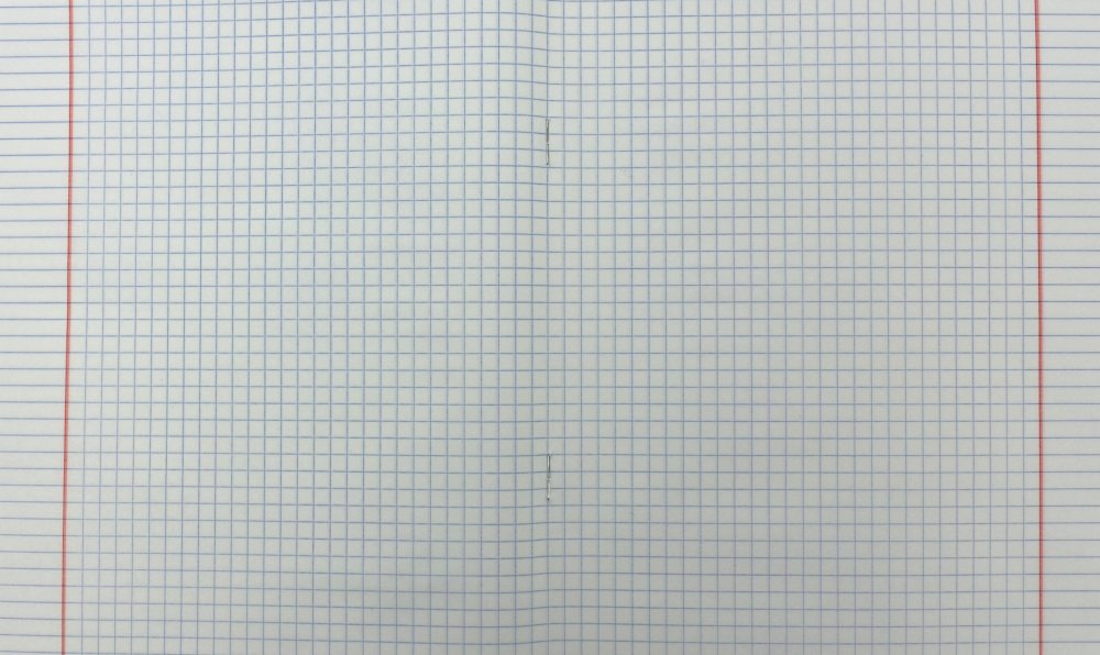 Листок в клетку тетрадный на а4