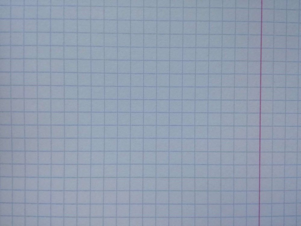 Лист в крупную клеточку