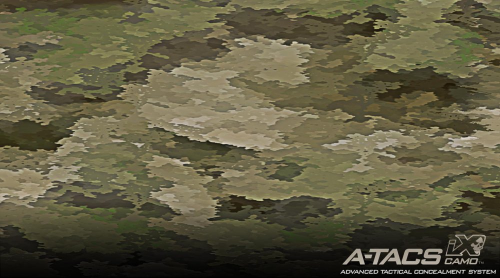 Камуфляж a TACS FG IX