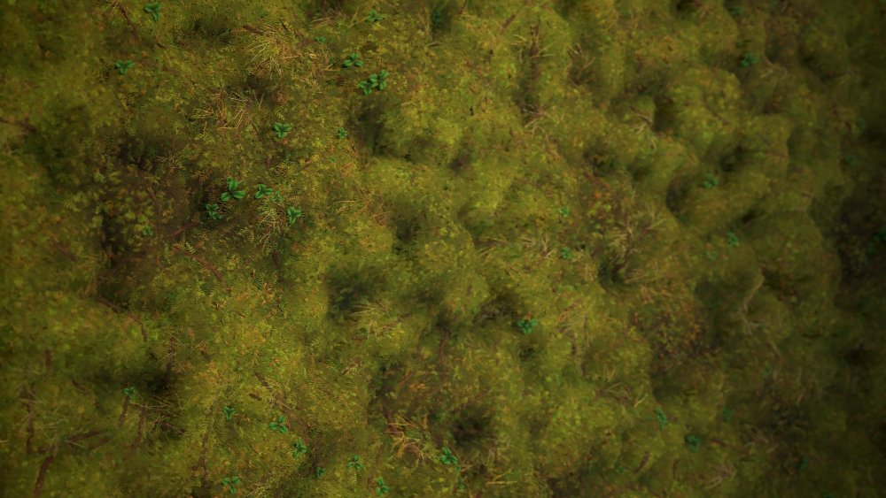 Текстура земли с высоты